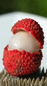 167932091_454322795f