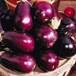 Eggplants, by jayluker