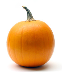 pumpkin.jpg