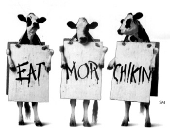 cows.jpg