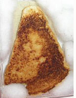 GrilledCheese.jpg