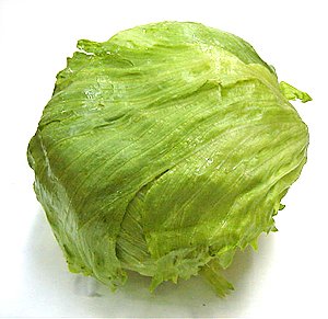 Lettuce.jpg