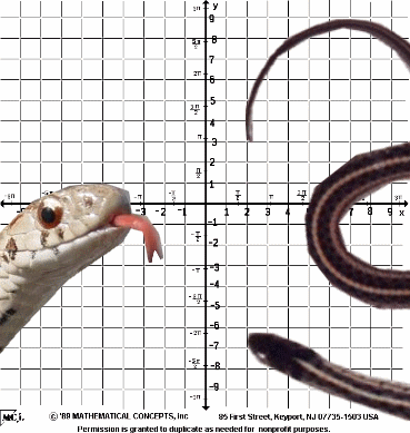 snakes%20on%20a%20plane.gif
